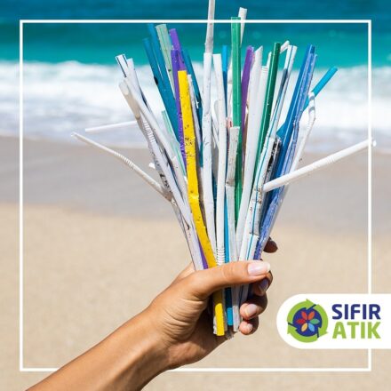 Sıfır Atık için En İyi 9 Pipet